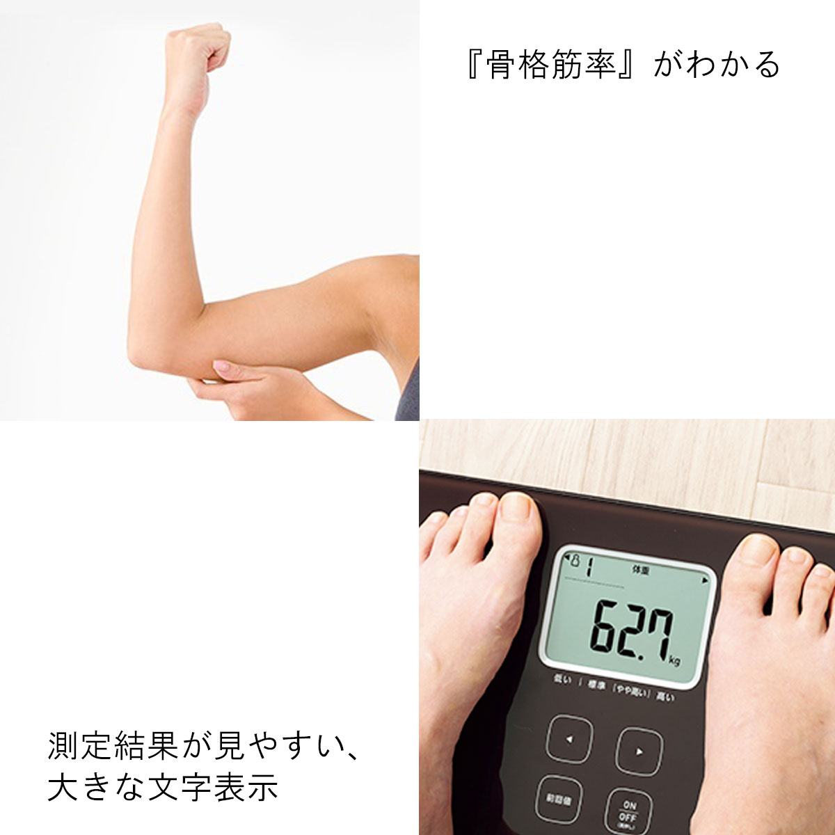 オムロン 体組成計（体重計）カラダスキャン 両足測定タイプ HBF-236
