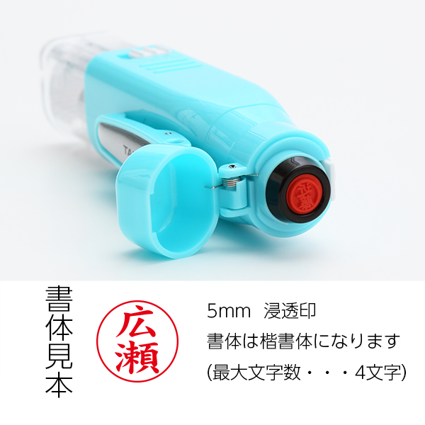 印面後日配送】タニエバー ツインGTキャップレス ネーム印（浸透