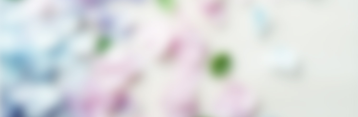 banner-smart